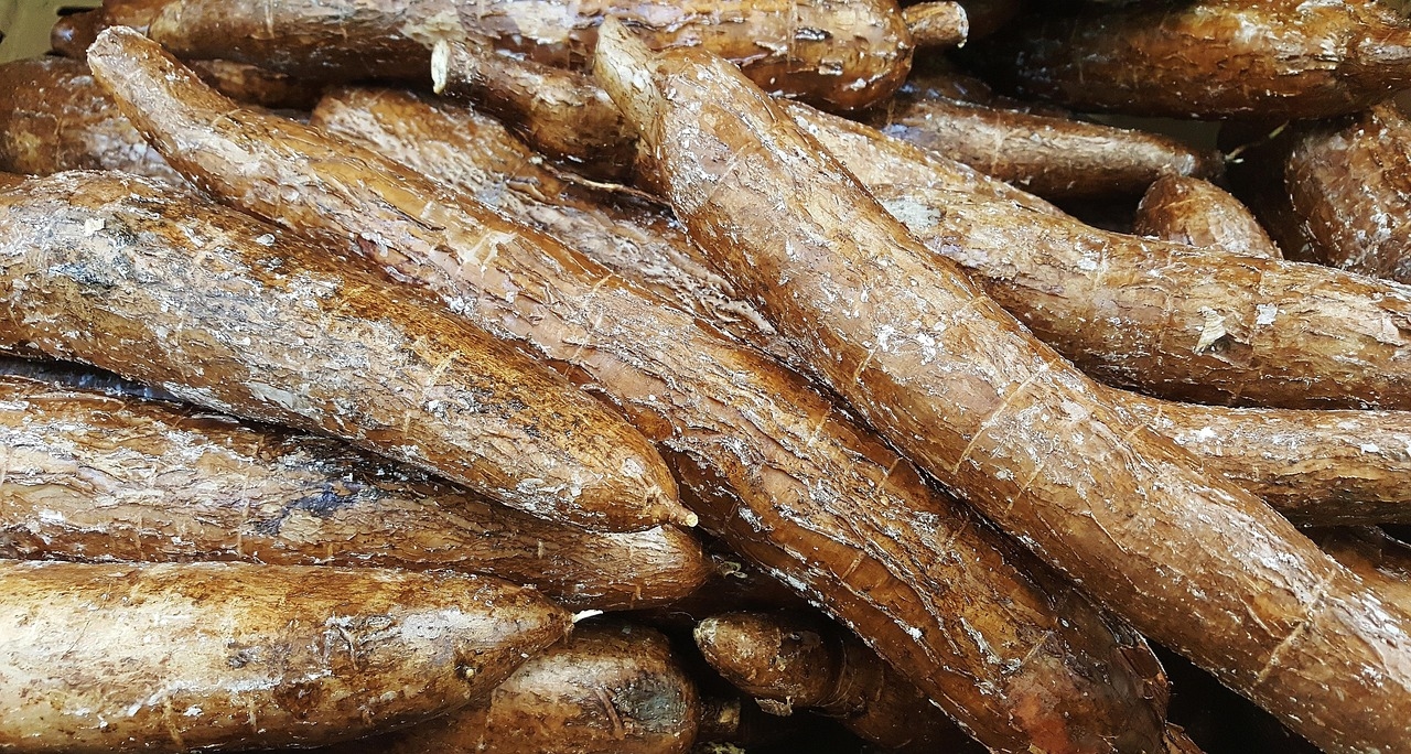 Demi Lindungi Petani Lokal, Pemerintah akan Batasi Impor Singkong dan Tapioka