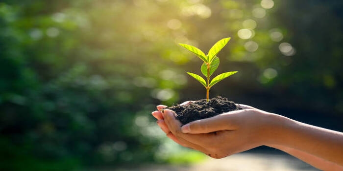 Gaya Hidup Eco-Friendly Makin Hits! Ini Cara Simpel Mulainya di Rumah