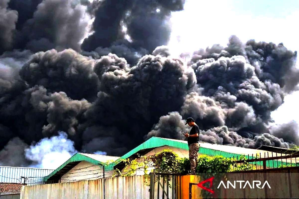 Detik-Detik Mencekam Kebakaran Hebat di Kapuk Muara: Ratusan Rumah Ludes Dilalap Si Jago Merah Saat Idul Adha