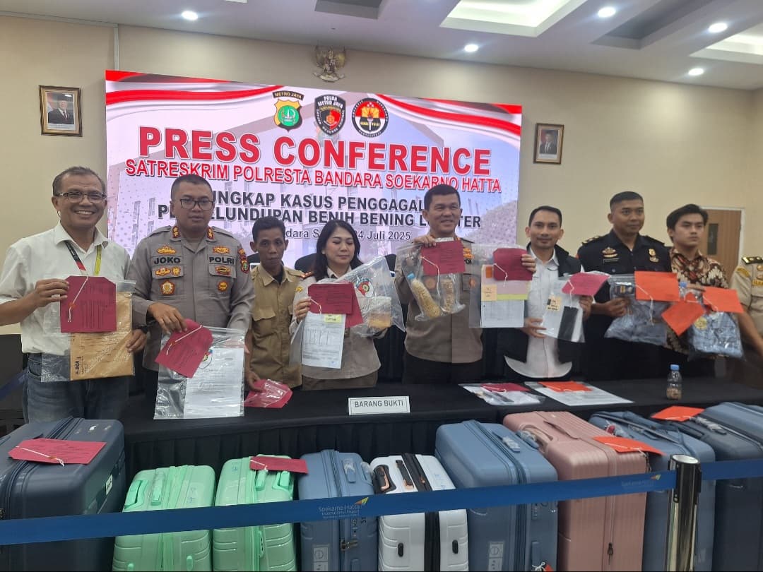 Polisi Bongkar Penyelundupan 710 Ribu Benih Bening Lobster ke Vietnam Lewat Bandara Soetta