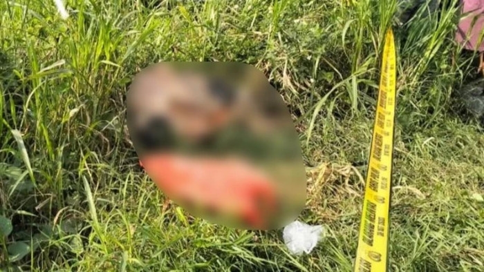 Mayat Driver Ojol Wanita Ditemukan dalam Kardus di Gresik, Polisi Dalami Dugaan Pembunuhan