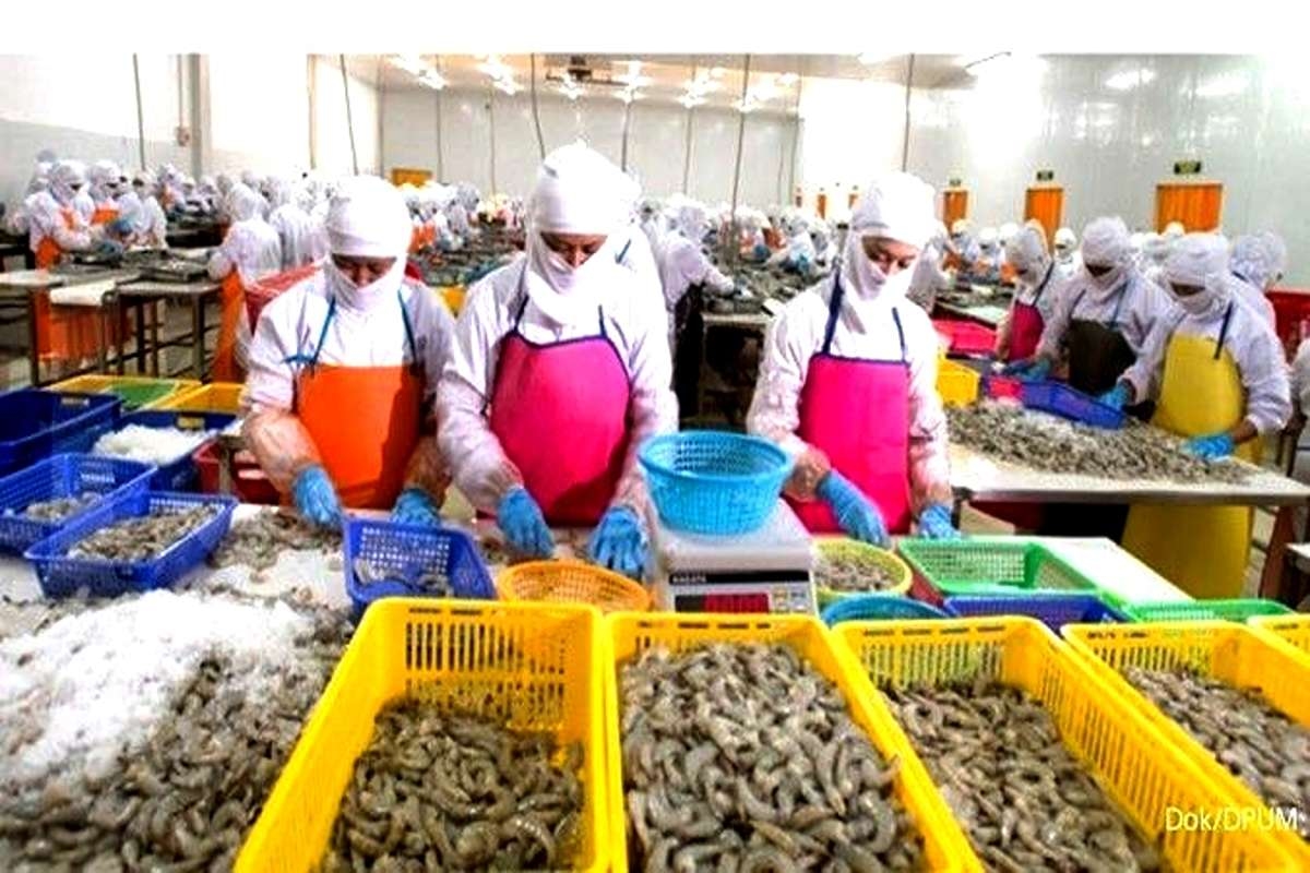 Ekspor Udang RI Terancam! Skandal Radioaktif Cesium-137 di Cikande Bikin Amerika Serikat Khawatir