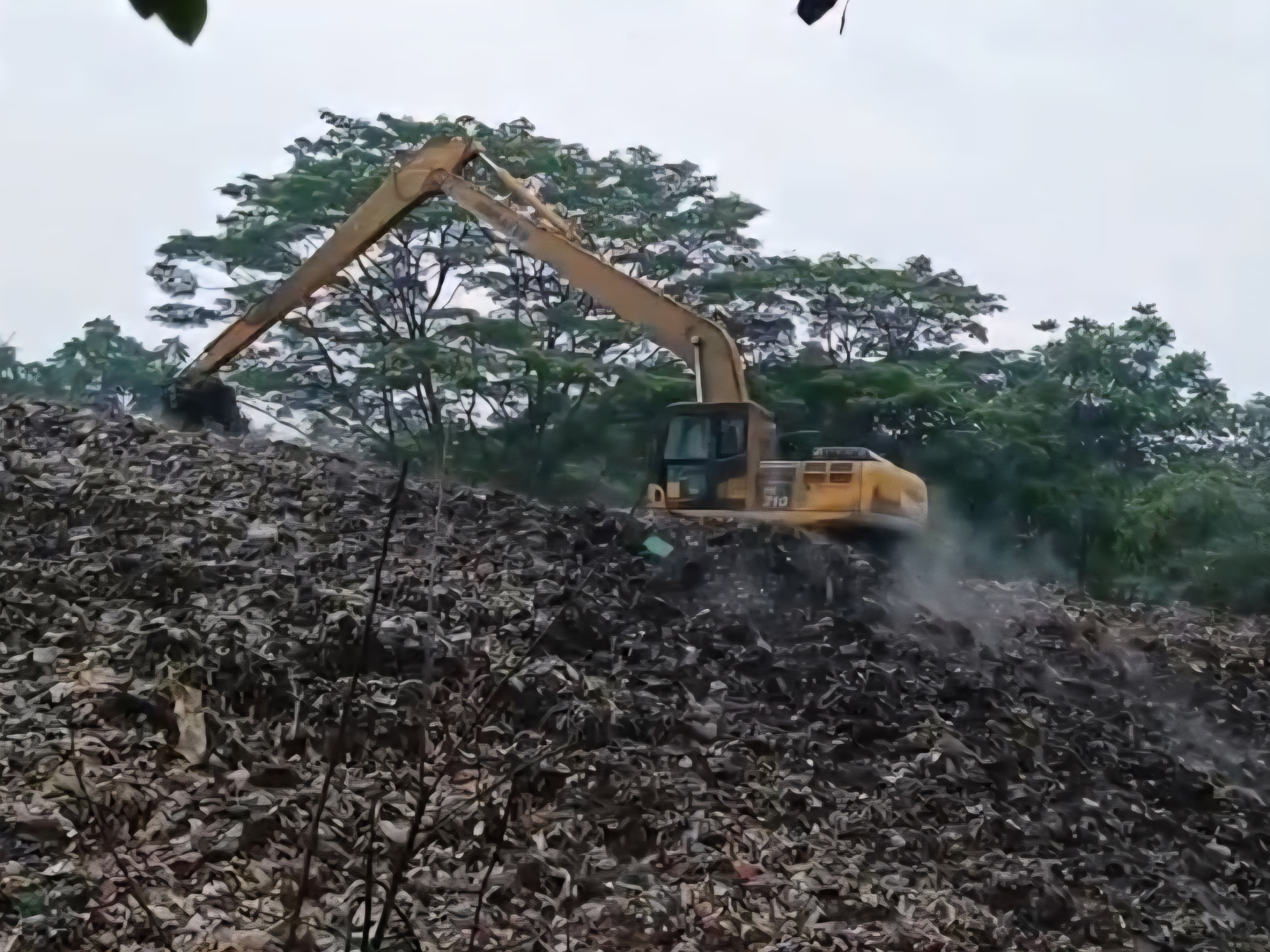 Kondisi TPA Cipecang Darurat, DLH Tangsel Minta Masyarakat Harus Mengerti Situasi