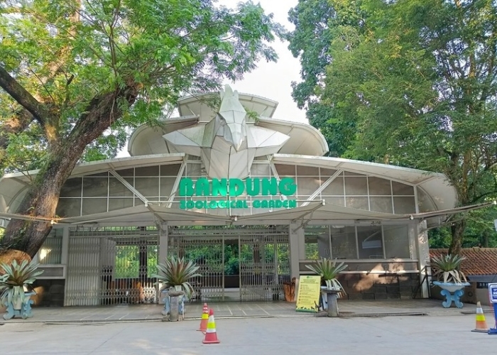 Bandung Zoo Kabur dari PKBSI, Pengakuan Mengejutkan Soal Konflik Internal Terkuak