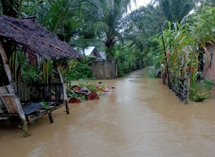 Berstatus Darurat Hidrometeorologi: 10 Wilayah Aceh Dikepung Banjir selama Berhari-hari, Puluhan Ribu Warga Terdampak
