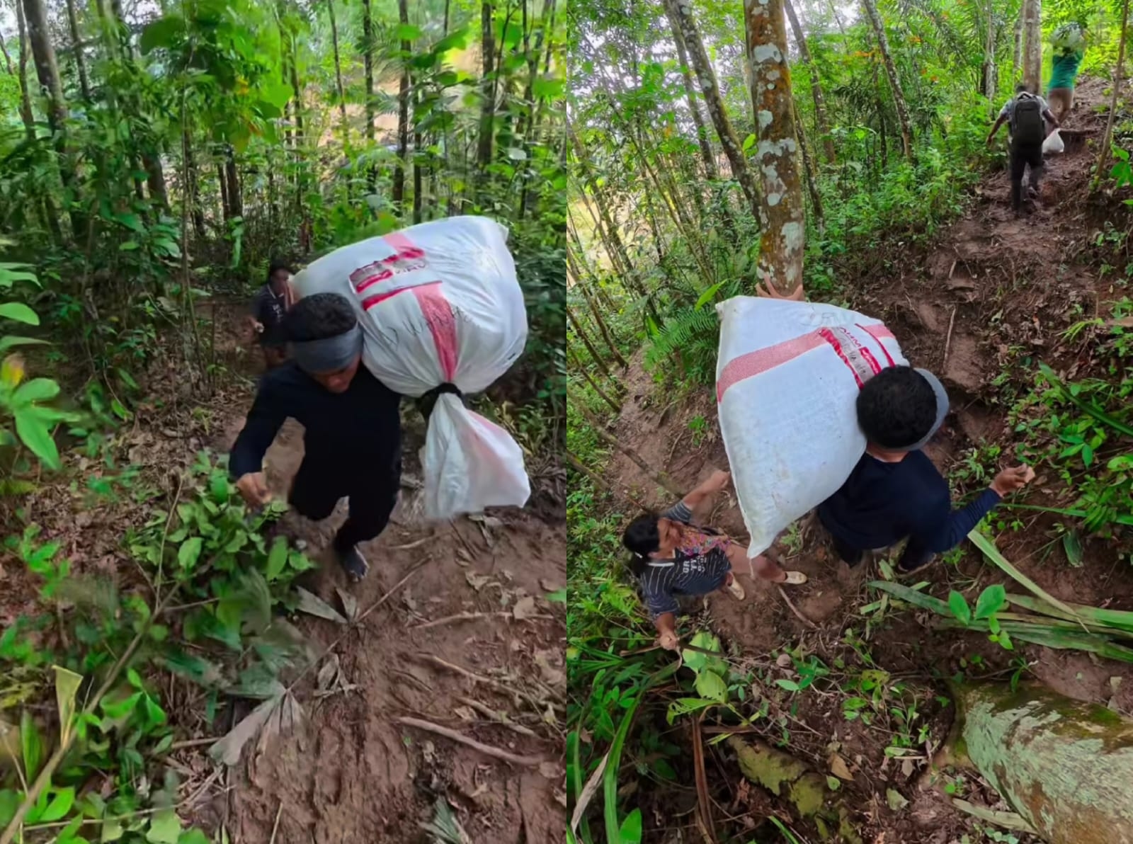 Terobos Hutan Curam Demi Logistik, Warga Simaninggir Tapteng Berjuang di Tengah Akses Jalan yang Lumpuh