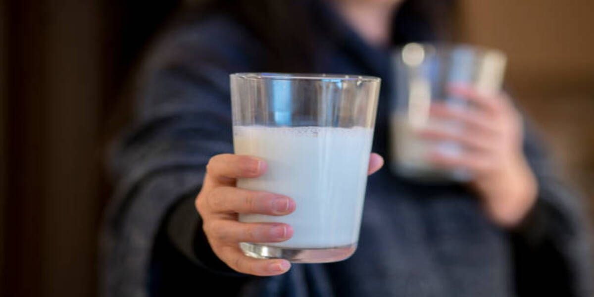 Ultrajaya Gelontorkan Rp1,14 Triliun Perkuat Pasokan Susu untuk Program Makan Bergizi Gratis